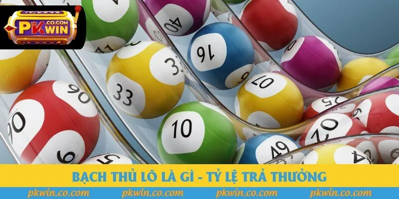 Bạch thủ lô là gì - Tỷ lệ trả thưởng
