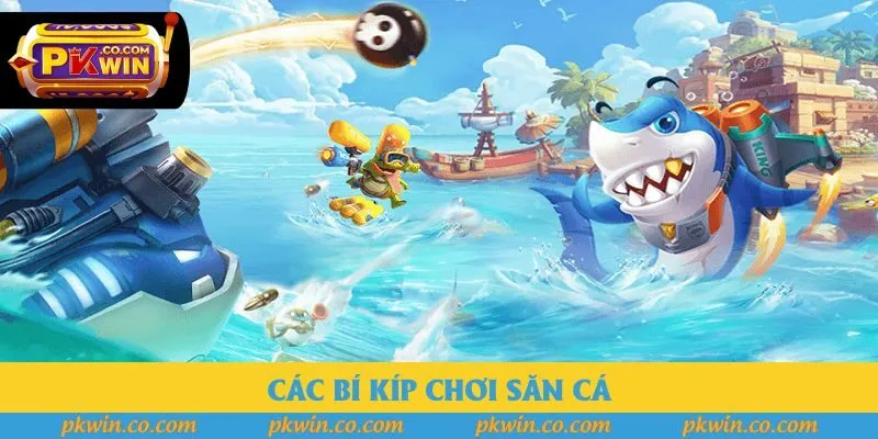 Các bí kíp chơi săn cá