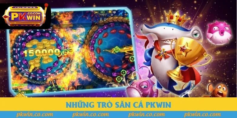 Những trò săn cá Pkwin