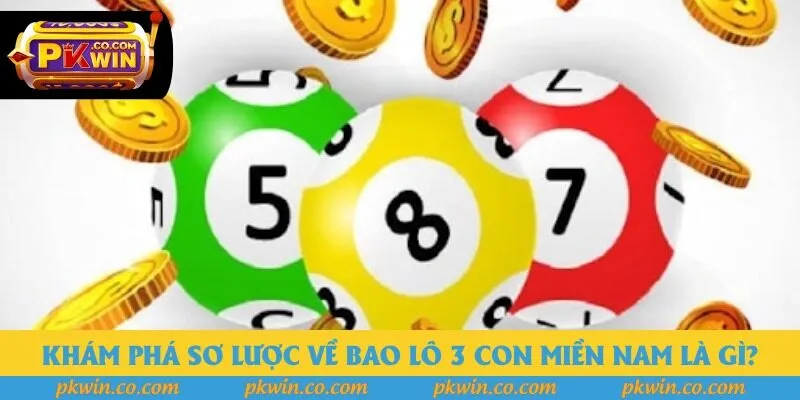 Khám phá sơ lược về bao lô 3 con miền Nam là gì? Khám phá sơ lược về bao lô 3 con miền Nam là gì?