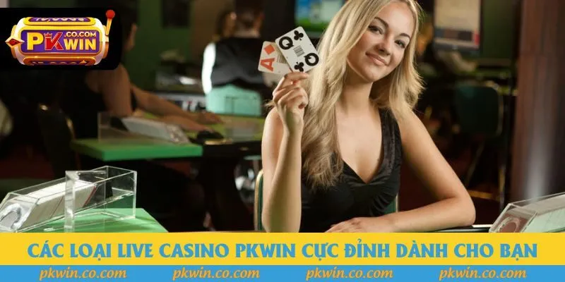 Các loại live casino Pkwin cực đỉnh dành cho bạn