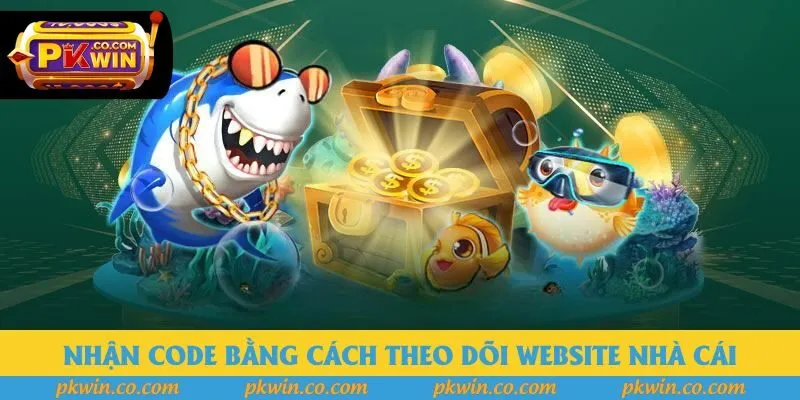 Nhận code bằng cách theo dõi website nhà cái