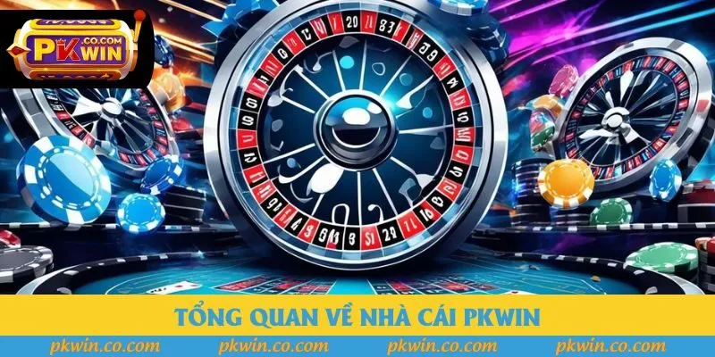 Tổng quan về nhà cái PKWIN