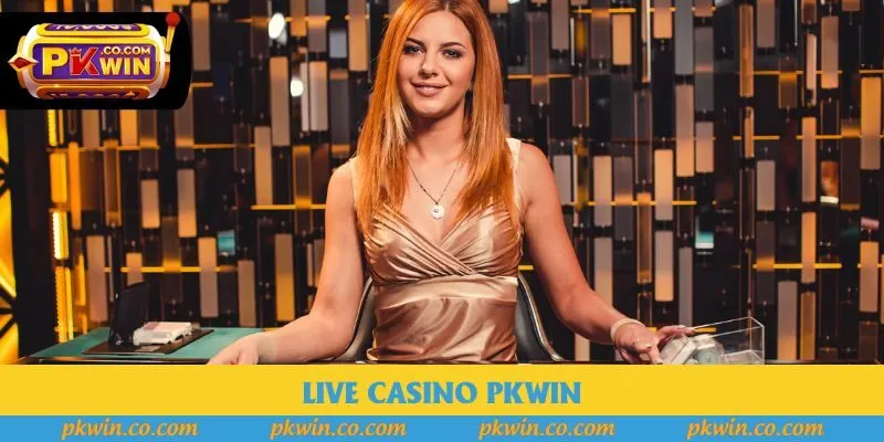 Live Casino Pkwin - Hội Tụ Cảm Xúc, Chiến Thắng Bất Tận 2025