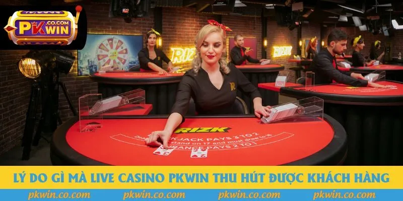 Lý do gì mà live casino Pkwin thu hút được khách hàng