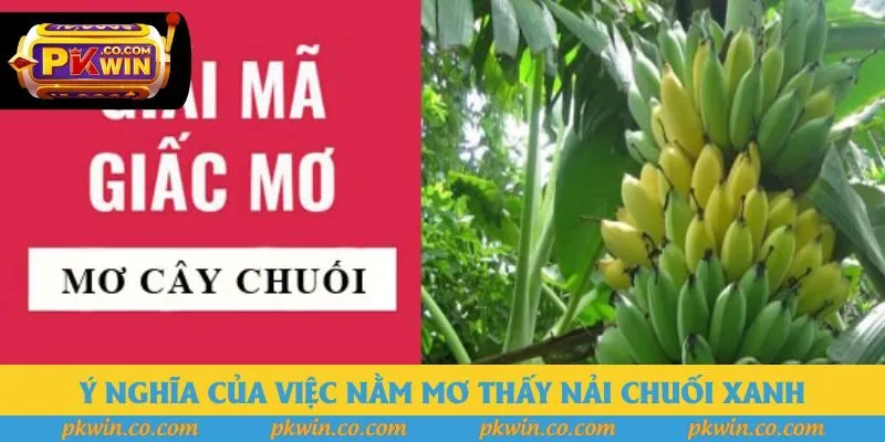Ý nghĩa của việc nằm mơ thấy nải chuối xanh
