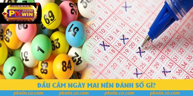 Đầu câm ngày mai nên đánh số gì?