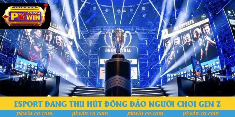 Esport đang thu hút đông đảo người chơi gen Z